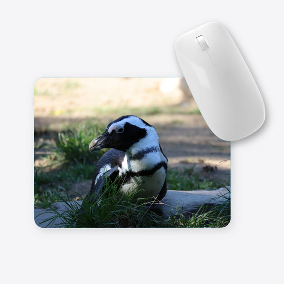 Brillenpinguin Mauspad