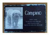 bedruckte Schiefertafel in der Grösse von 20x30cm mit Foto vom Hund und Text