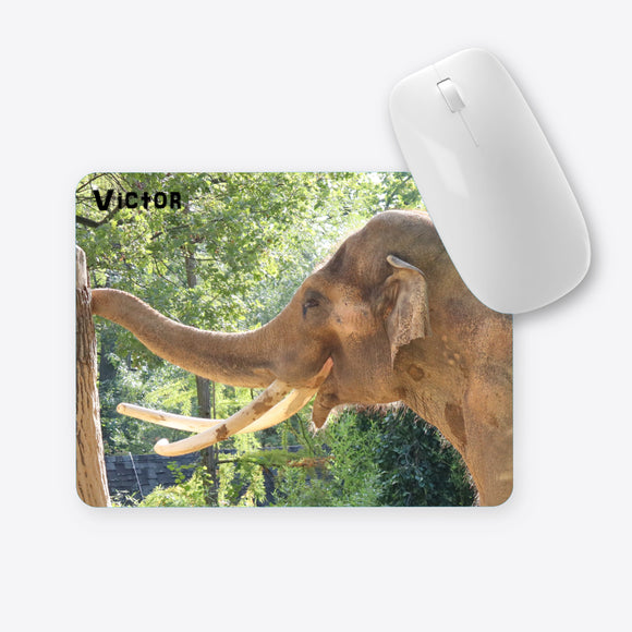 Elefant Victor Mauspad