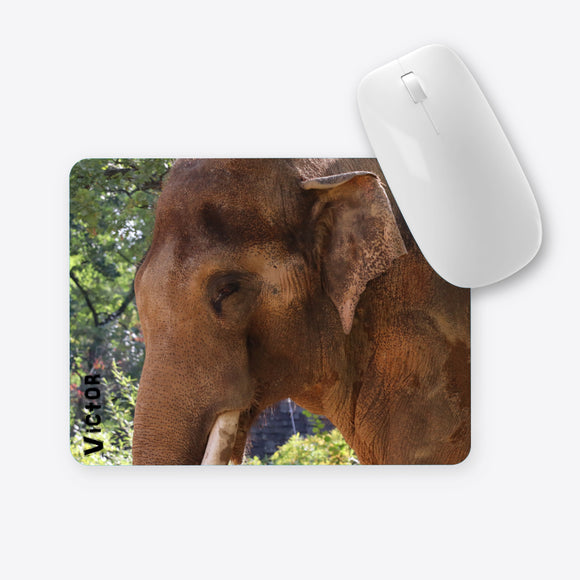 Elefant Victor ganz nah Mauspad
