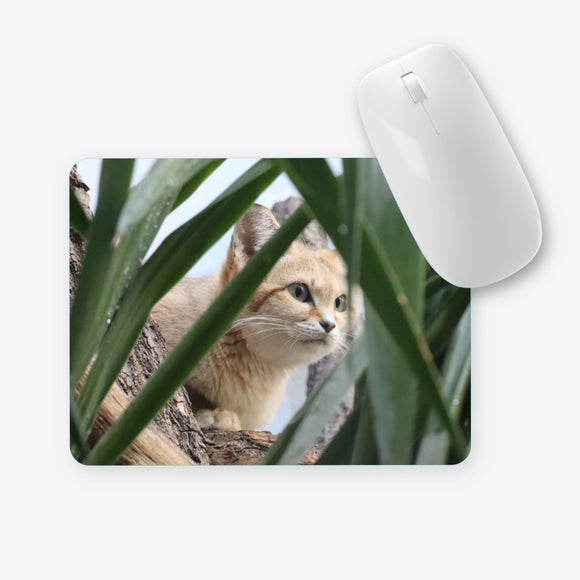 Katze auf der Lauer Mauspad
