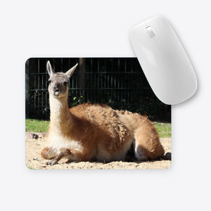 Lama liegend Mauspad