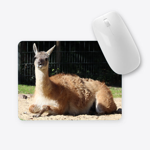 Lama liegend Mauspad