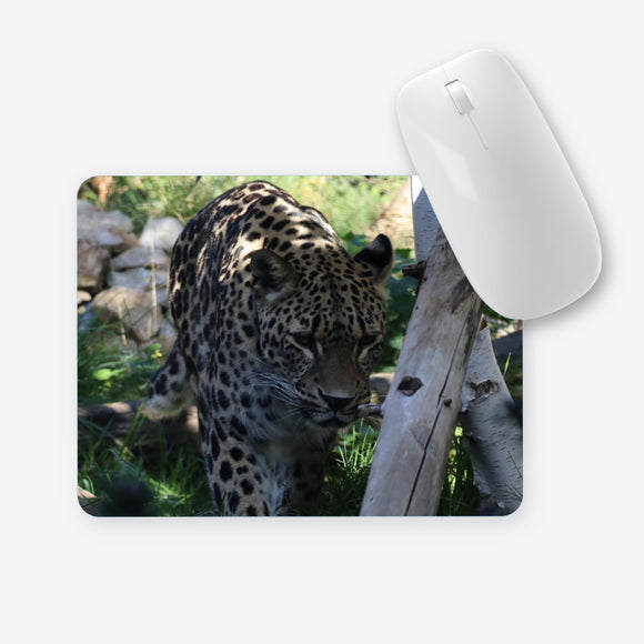 Leopard im Schatten Mauspad
