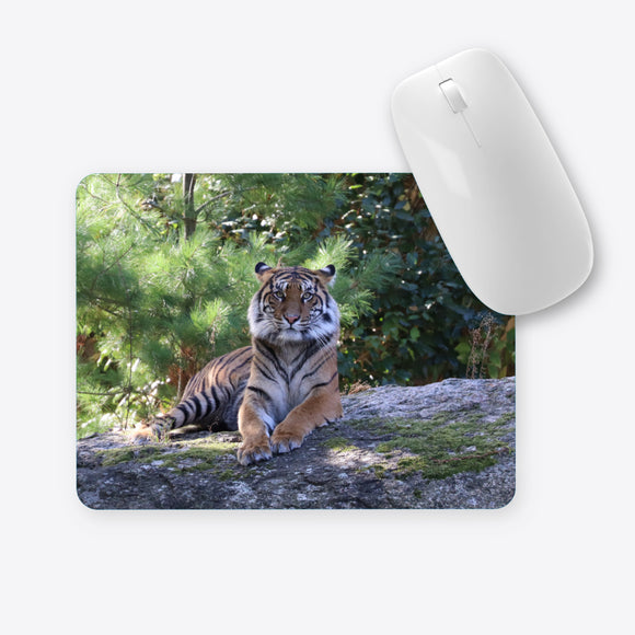 Tiger liegend Mauspad