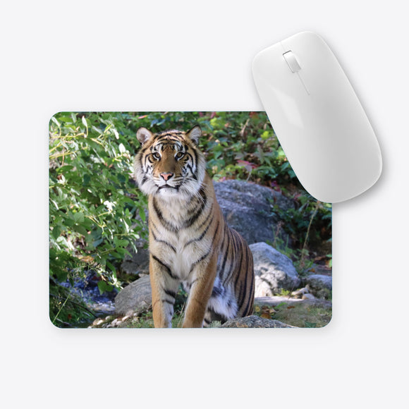 Tiger auf einer Anhöhe Mauspad