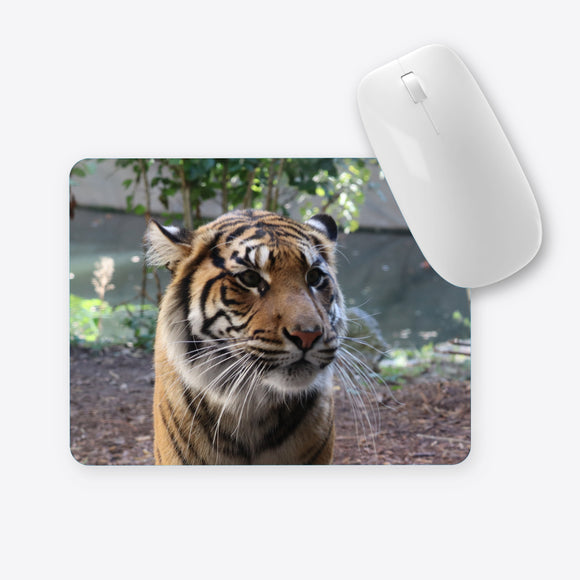 Tiger ganz nah Mauspad