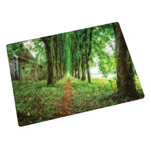Sehr schöne Glasplatte Glas Schneidebrett bedruckt mit Motiv Lost Place Forest Path