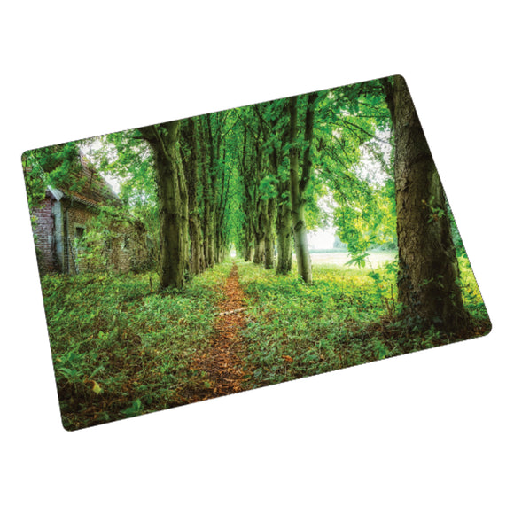 Sehr schöne Glasplatte Glas Schneidebrett bedruckt mit Motiv Lost Place Forest Path