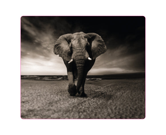 Mousepad Elefant auf Sand NH