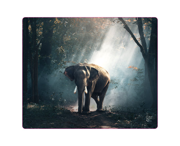Mousepad Elefant im Wald JH