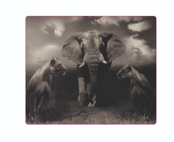 Mousepad Elefant mit zwei Löwen NH