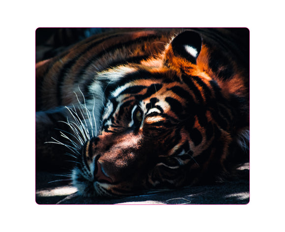 Mousepad Tiger Kopf liegend JH